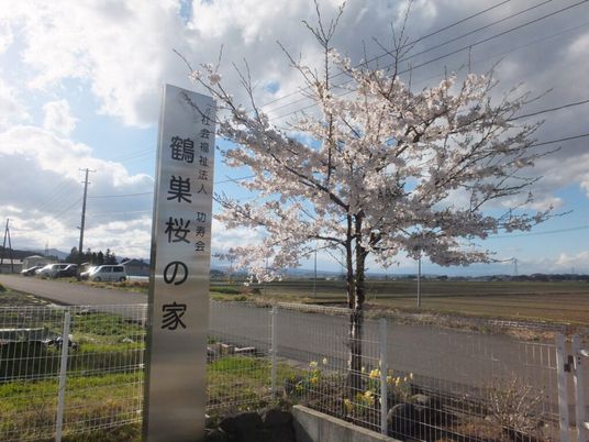 建物敷地の外観