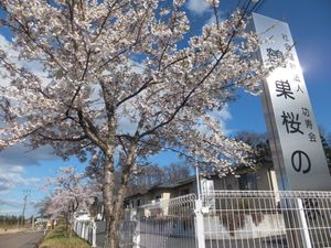 桜並木のある外観
