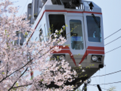 桜の近くの電車