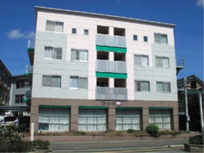 白と緑の建物外観