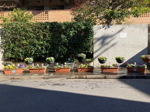 花壇のある外観  
