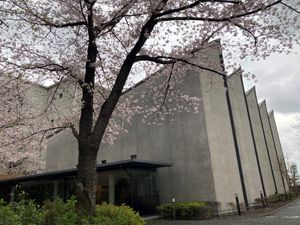 桜と建物の外観  