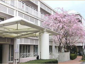 春の中庭の建物外観  