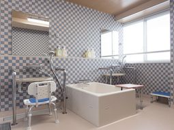 チェック柄の壁の浴室