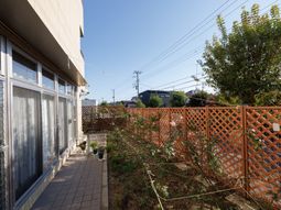 中庭の明るい景色