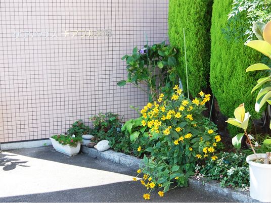 花壇のある施設外観  