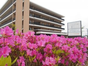 満開の花壇と建物外観  