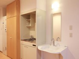 清潔感ある洗面台とキッチン