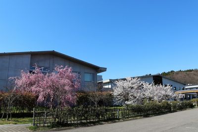 色とりどりの花が咲く外観