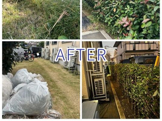 中庭の植栽と通路  