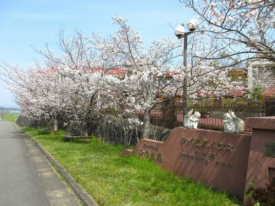桜並木の外観  