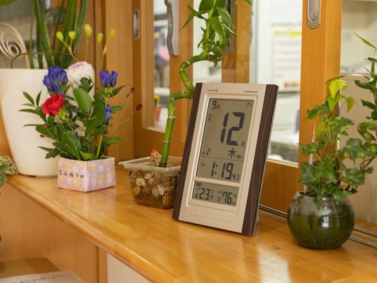 時計と観葉植物の飾り