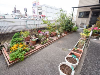 花壇付きの明るい庭