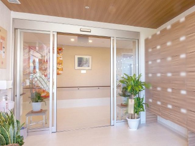 温かみのあるエントランス エントランス 自然光が差し込む明るいエントランスです。観葉植物が飾られ、温かい雰囲気を作っています。