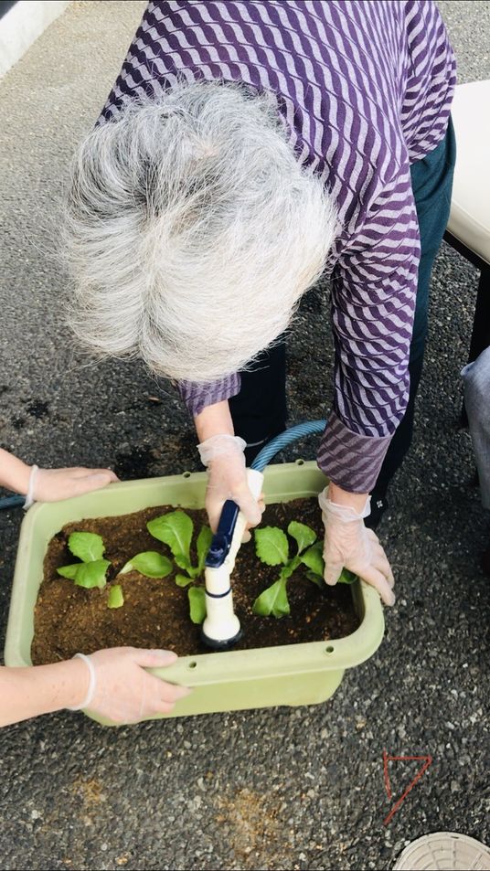 植物の手入れをする中庭