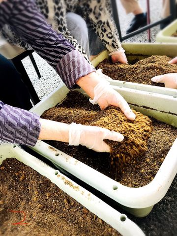 スタッフの手元風景 スタッフイメージ スタッフが土を扱う様子です。作業は協力し合いながら行われています。