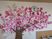 桜の壁飾りがある廊下  