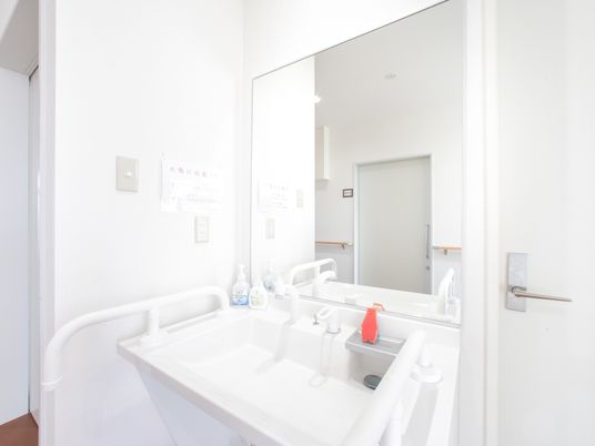 白い洗面台には手すりが付けられておりスポンジや洗浄剤が置かれている。洗面台と同じ幅の鏡が設置され排水口は右奥になっている。