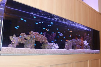 水槽のあるエントランス  