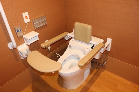 機能的な設備のトイレ