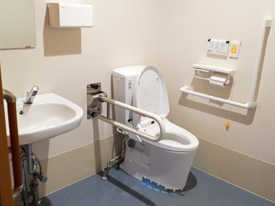 車椅子の人のために手すりが設置されているトイレ