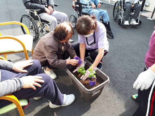 苗を鉢に植える高齢女性と理学療法士の男性