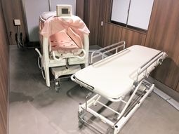 清潔なベッドとシャワーベッド