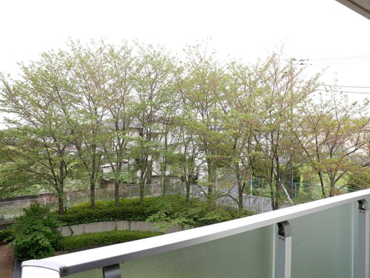新緑の中庭