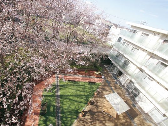 春の中庭の眺め