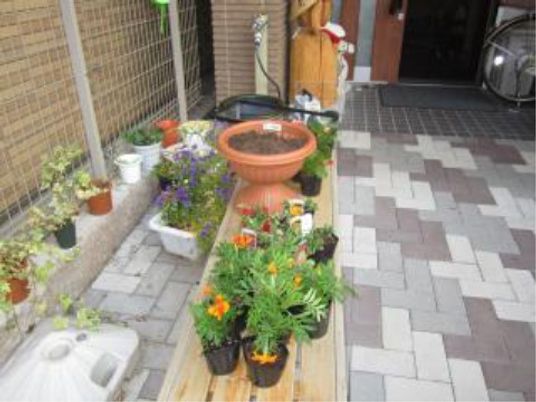 入口横の華やかな花壇