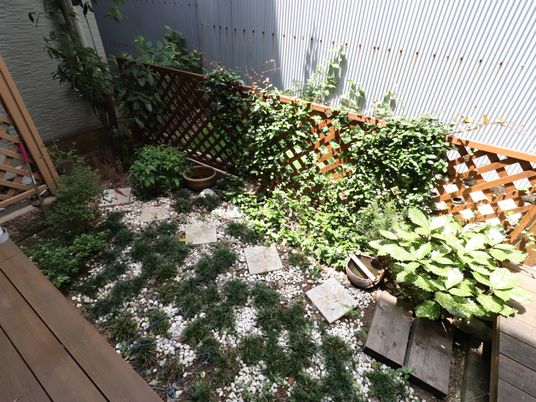 中庭の緑豊かな様子
