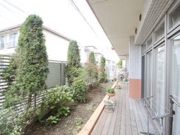 緑あふれる明るい中庭