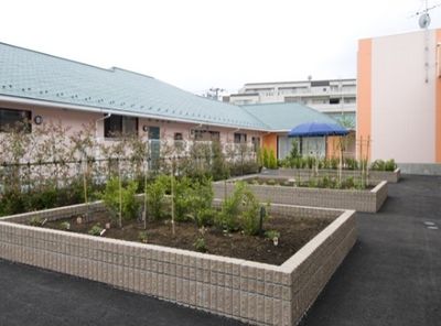 中庭の植物とベンチ