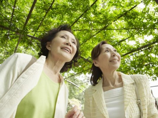 緑豊かな中庭で散策