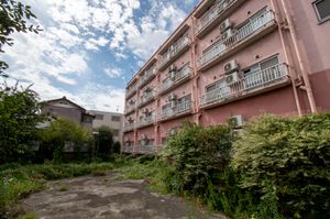 草木に囲まれた建物の外観