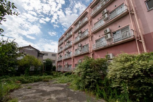 草木に囲まれた建物の外観
