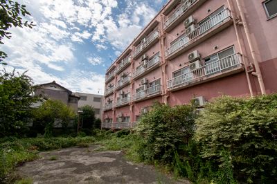 草木に囲まれた建物の外観