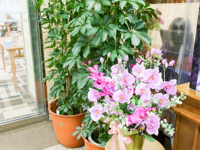 緑豊かな施設エントランス 共有スペース 鮮やかな花々に囲まれた入口は、来訪者を温かく迎えます。快適な職場環境をお求めの方にぜひお勧めします。