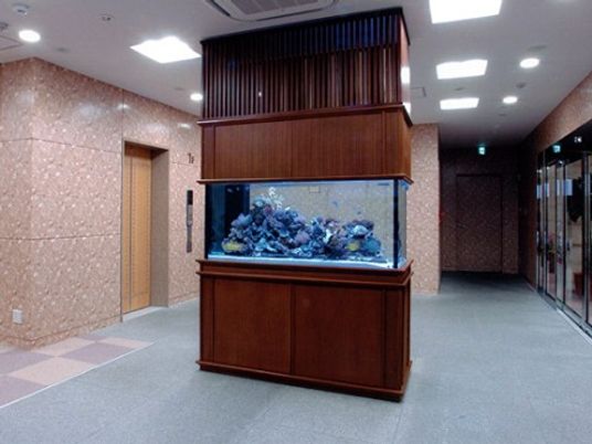 エントランスのアクアリウム