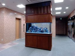 落ち着いたロビーの一角