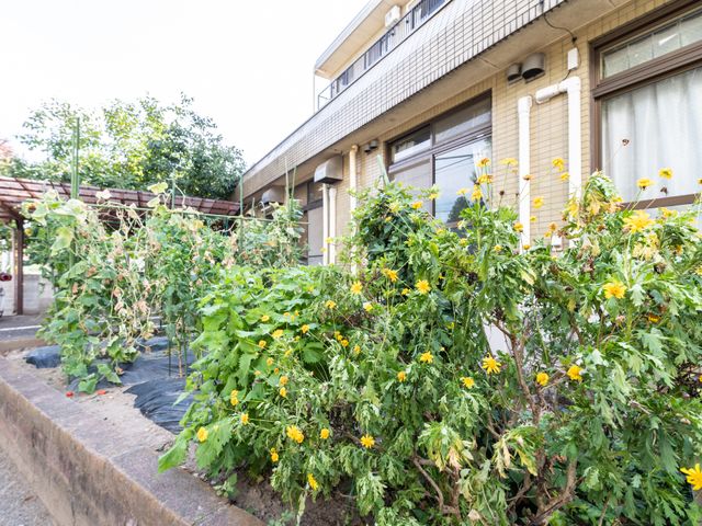 緑豊かな庭の一角 外観 ゆとりある庭では、季節の花々が訪れる人々を和ませています。自然の恵みに囲まれた環境で、明るく心地よい毎日を過ごせそうです。