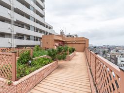 屋上緑化スペースの景色