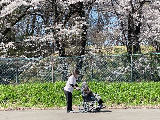 散策を支える職員と車椅子  