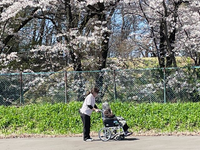 散策を支える職員と車椅子 庭   春の花が広がる屋外で、職員が車椅子の方をそっと支えています。季節を感じながら、ゆったりと過ごせる場面です。