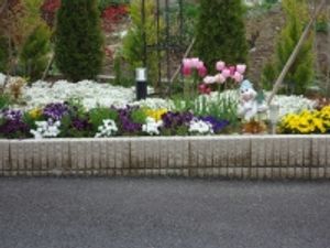 色とりどりの花壇
