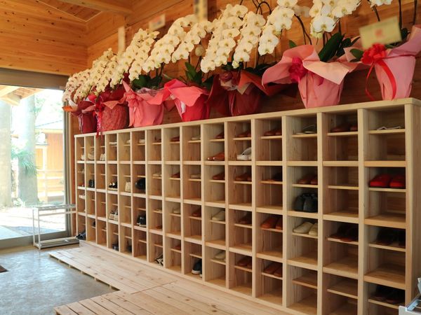明るい靴箱と花のエントランス