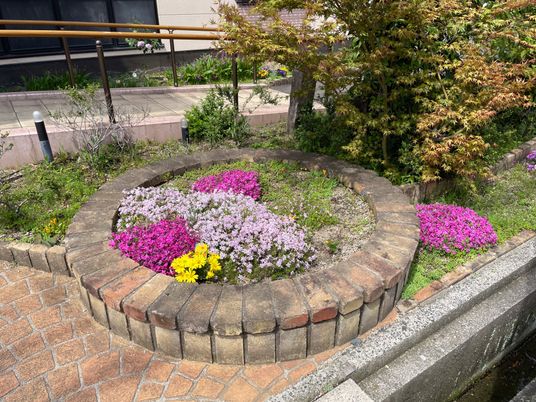 花壇が美しい庭