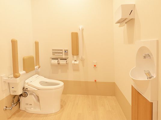 手洗い場やエアコンが付いた広いトイレ。手すりや背もたれ多が付いていることに加えて、前方には可動式のバーが設置されている。