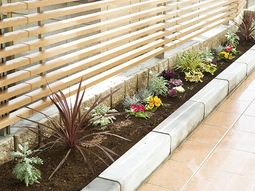 明るい庭の花壇