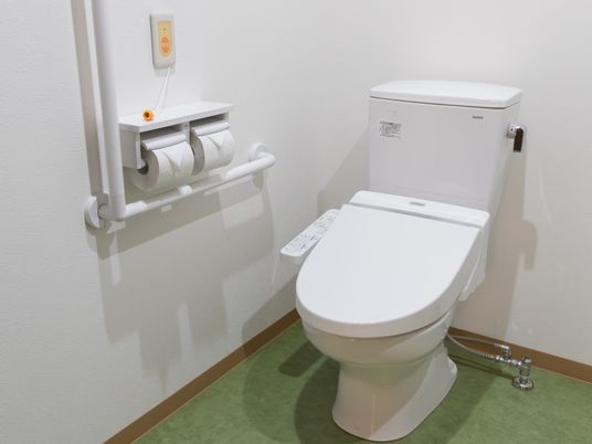 施設の写真 トイレは、白い壁にモスグリーンのシート張りの床になっている。洗浄機能付きの便器が据えられ、左の壁面には手すりが付けられている。